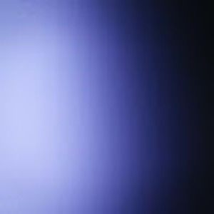 Meet your Posher, Terry